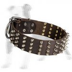 Striking Beauty 2 inch wide Leather Spiked Dog Collar