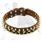 Spiked and Studded Leather Dog Collar