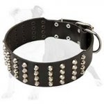 Extra Wide Leather Studded Dog Collar 2 2/5 inches with 4 raws of Pyramids