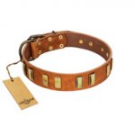 "Olive Slice" FDT Artisan Tan Leather dog Collar with Engraved and Smooth Plates