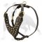 Beautiful Dog Leather Harness with Stylish Brass Studs on Chest Plate