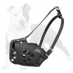 Military Strong Leather Dog Muzzle for Training, Police, Agitation