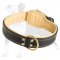 Nappa Padded Leather Dog Collar with Fur Protection Plate