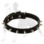 Narrow Spiked Leather Dog Collar for Walking Puppies and Small Breed Canines