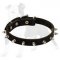 Narrow Spiked Leather Dog Collar for Walking Puppies and Small Breed Canines