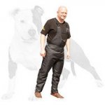 Protection scratch pants for dog training