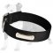 Adjustable Nylon Canine Collar with ID Tag for Walking and Training