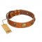 "Knights Templar" FDT Artisan Tan Leather dog Collar with Skulls and Crossbones Combined with Squares