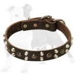 Dog Training Leather Collar with Absolutely Amazing Silvery Pyramids and Goldish Half-Ball Studs