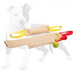 Puppy Training Set and Exciting Training Toy