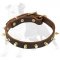 Elegant Leather Dog Collar with Gold Color Spikes for Fashionable Walking