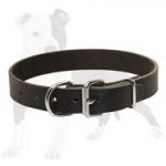 Budget Friendly Leather Dog Collar