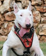 Bull T designer leather dog harness- Hand painted harness-Dog Supplies