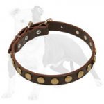 Leather Dog Collar With Circles for Training and Walking