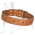 Walking Tan Leather Dog Collar with Punched Flowers