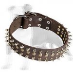 Walking Leather Dog Collar Decorated