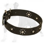 Elegant "Camomile" Leather Dog Collar