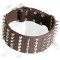 3 inch Spiked and Studded Dog Collar