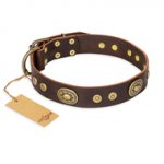 "One-of-a-Kind" FDT Artisan Handmade Decorated Brown Leather dog Collar