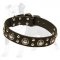 Fashion Leather Dog Collar with Conchos and Studs