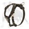 Walking Studded Leather Dog Harness for Puppies and Small Breeds