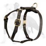 Fantastic Tracking, Training and Walking Dog Harness with No Chest Plate