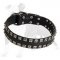 Studded Leather Dog Collar with Dotted Nickel Studs for Daily Walking