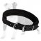 Padded Leather Canine Collar for Easy Handling of Medium or Large Breed Dog