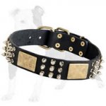 Walking Leather Dog Collar with Spikes, Pyramids and Massive Plates