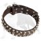 Custom Studded Leather Dog Collar for Training and Walking