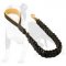 Beautiful Canine Leash for Walking and Training Your Dog