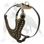 Gorgeous Dog Harness with Studs for Walking Training and Pleasant Exercising