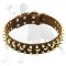Spiked and Studded Leather Dog Collar