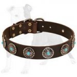 Leather Dog Collar with Silver Circles Blue Stones