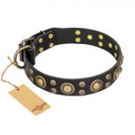"Baroque Chic" FDT Artisan Studded Black Leather dog Collar