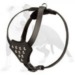 Fashion Leather Dog Harness for Puppy or Small Breeds Walking and Training