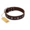 "Stellar Fairy " FDT Artisan Brown Leather dog Collar with Chrome-plated Star-like Decorations
