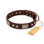 "Pirate Skull" FDT Artisan Brown Leather dog Collar with Old Silver Look Plates and Skulls