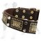 War-like Leather Dog Collar with old brass massive plates and 2 nickel pyramids