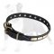 Designer Leather Dog Collar with Brass Plates for Fashion Walking