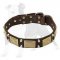 Training Leather Dog Collar with Brass Massive Plates and Nickel Pyramids