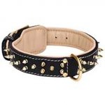 Nappa Padded Leather Dog Collar with Barss Spikes for Fashion Walking