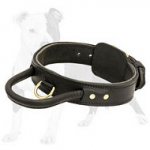 2 ply leather agitation dog collar with handle