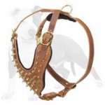 Leather Dog Harness with Brass Spiked Chest Plate for Training and Wlalking