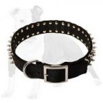 Black Nylon Spiked Dog Collar - 2 Rows of spikes-Dog Supplies