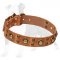 Leather Dog Collar with Brass Decoration