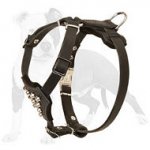 Walking Studded Leather Dog Harness for Puppies and Small Breeds