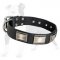 Leather Dog Collar with Figured Plates for Walking and Training