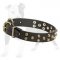 Comfortable Leather Dog Collar with Brass Pyramids
