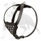 Fashion Leather Dog Harness for Puppy or Small Breeds Walking and Training
